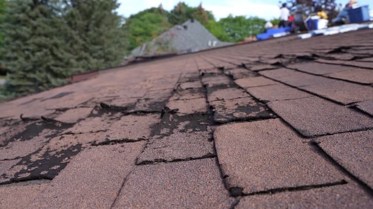 Fast & Reliable Emergency Roof Repairs in St Helena, CA